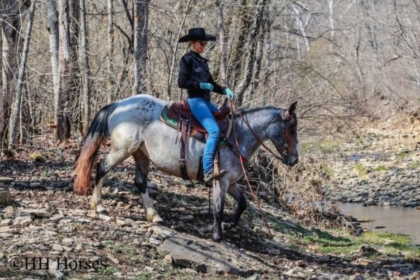 Gypsy Rose - Image 8
