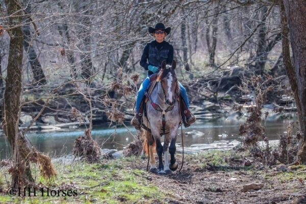 Gypsy Rose - Image 9