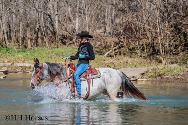 Gypsy Rose - Image 11