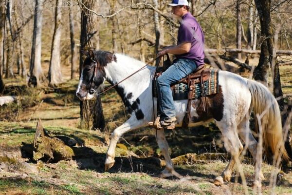Madelyn - Image 11