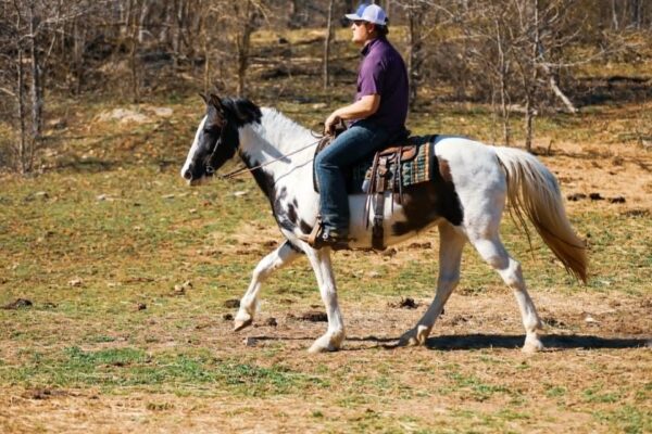 Madelyn - Image 12