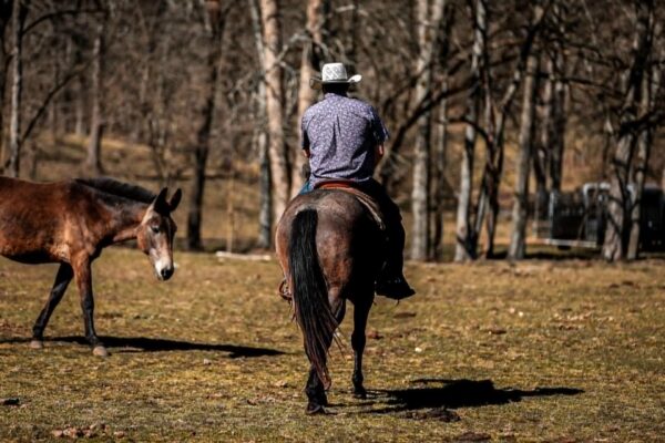 PR Bucks Blue Drift - Image 18