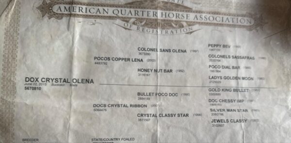Dox Crystal Olena - Image 3