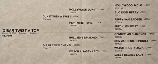 D Bar Twist - Image 3