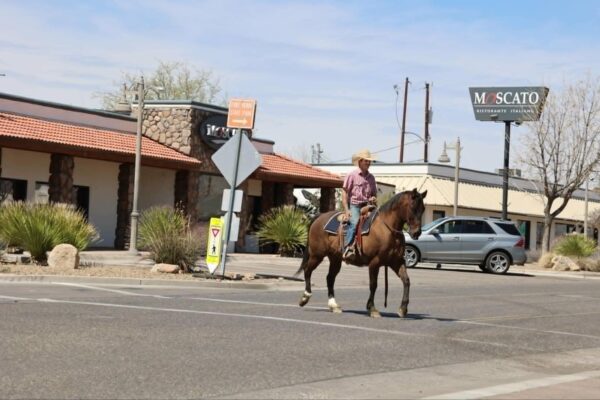Crockett - Image 9