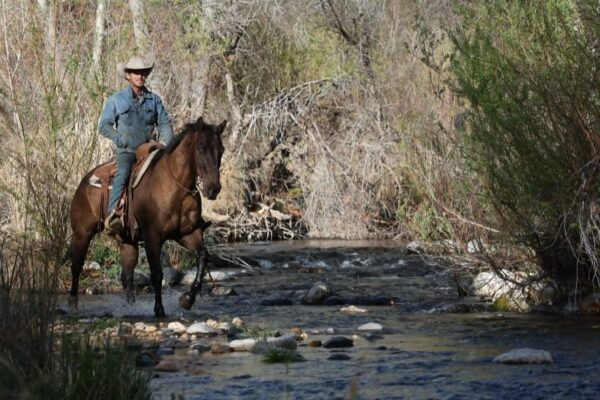 Crockett - Image 12