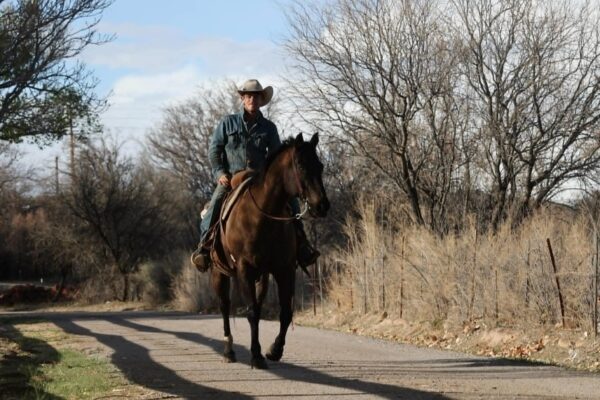 Crockett - Image 13