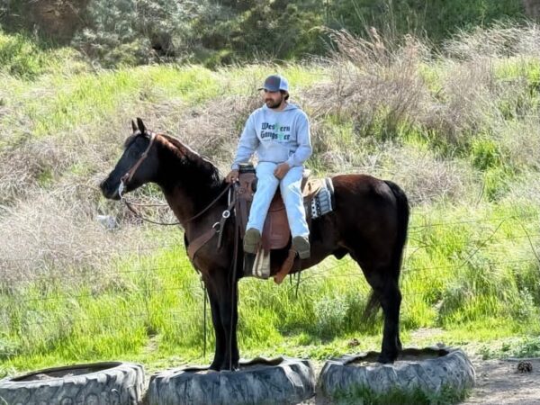 Blackjack - Image 11