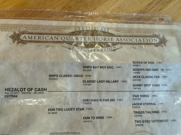 Ahh Hezalot of Cash - Image 26