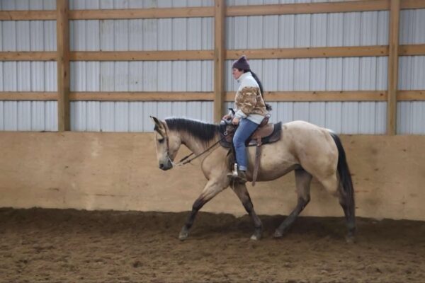 Boot Scoot N Champ - Image 4