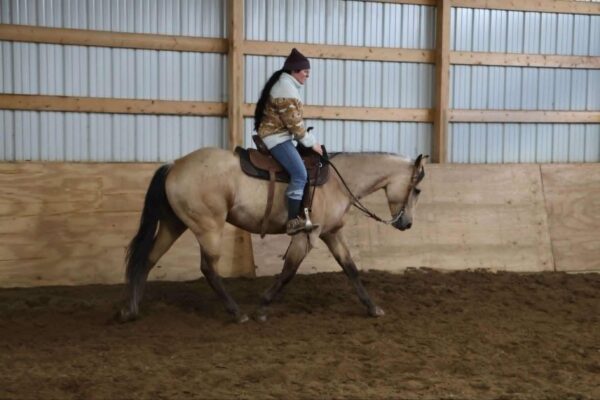 Boot Scoot N Champ - Image 5
