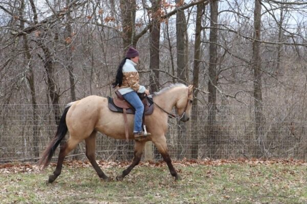 Boot Scoot N Champ - Image 6