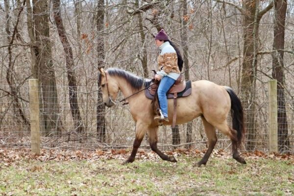 Boot Scoot N Champ - Image 7