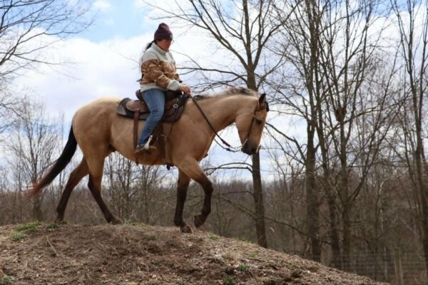 Boot Scoot N Champ - Image 8