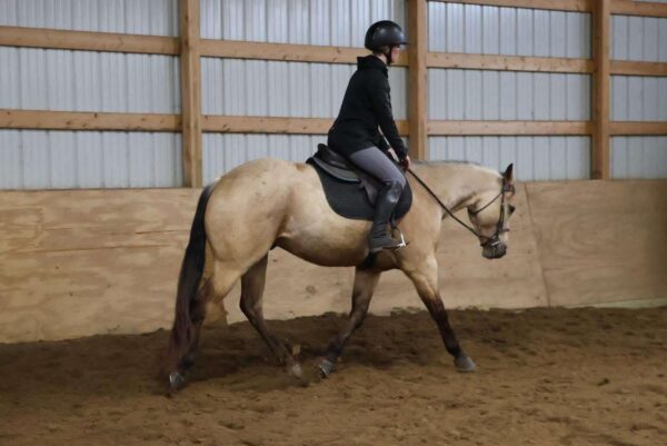 Boot Scoot N Champ - Image 11
