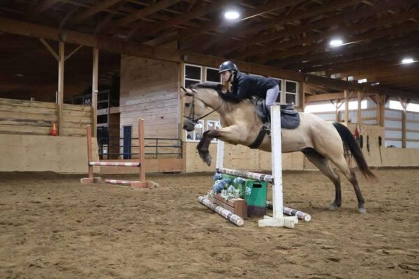 Boot Scoot N Champ - Image 12