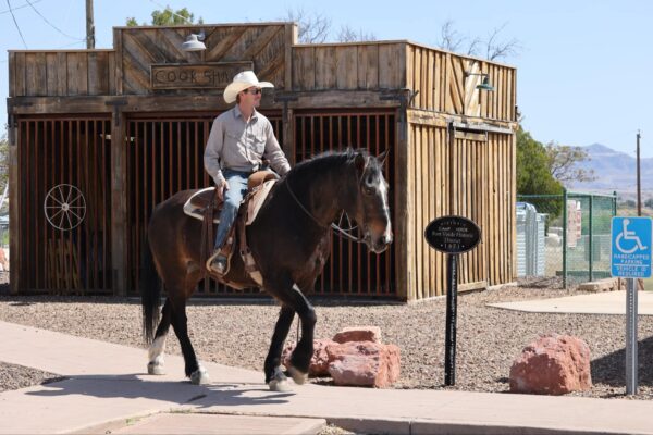 Big Betty - Image 15