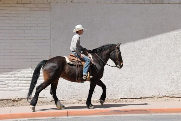Big Betty - Image 19