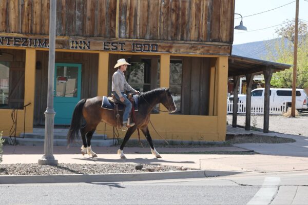 Jacks Royal Sunshine - Image 11