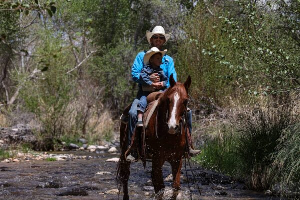 Alamo - Image 33