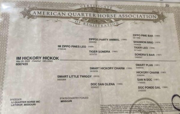I'm Hickory Hickok - Image 7