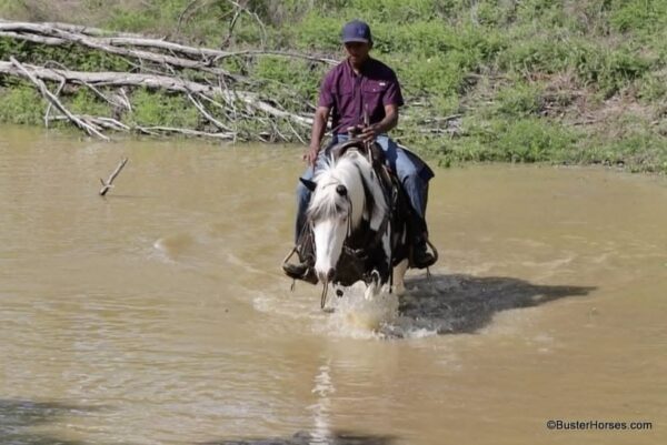 Tonto - Image 7