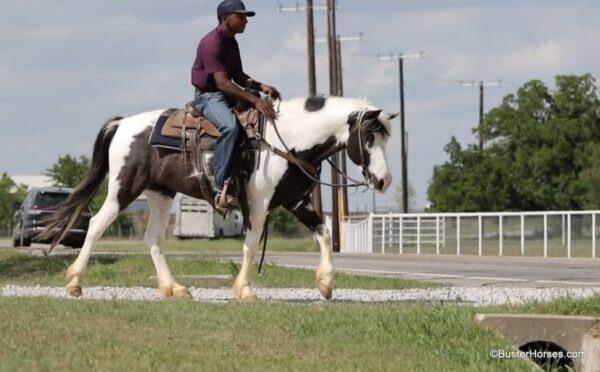 Tonto - Image 11