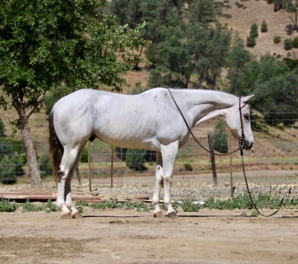 Breeze - Image 5