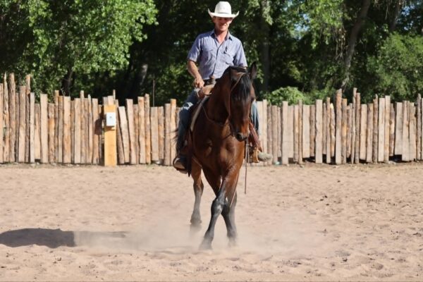 Arthur - Image 5