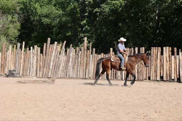 Arthur - Image 7