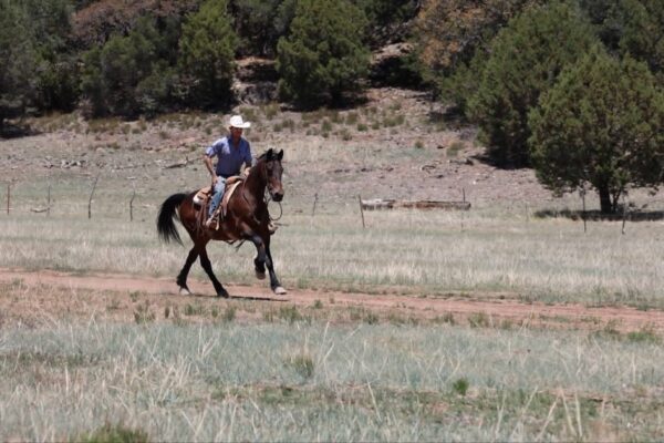 Arthur - Image 22