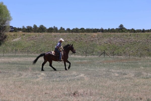 Arthur - Image 23