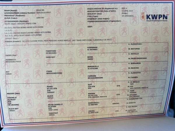 Kylee - Image 3