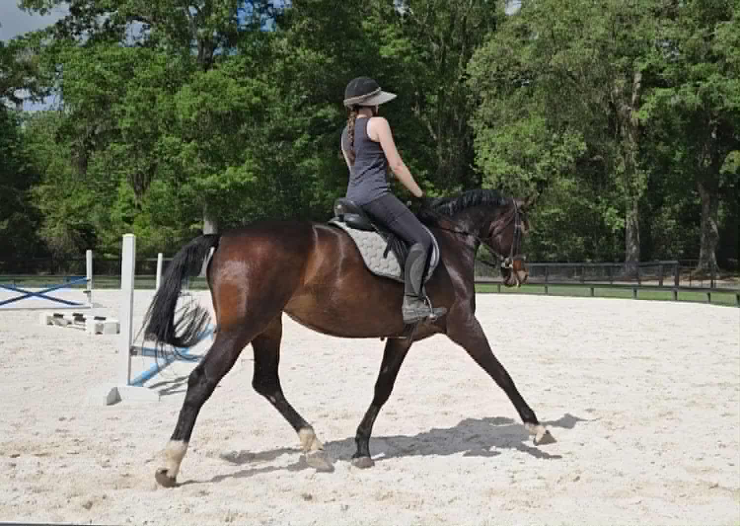 Kylee - Image 5