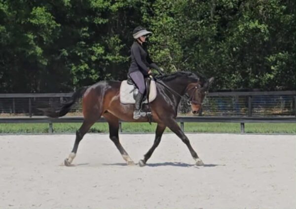 Kylee - Image 10