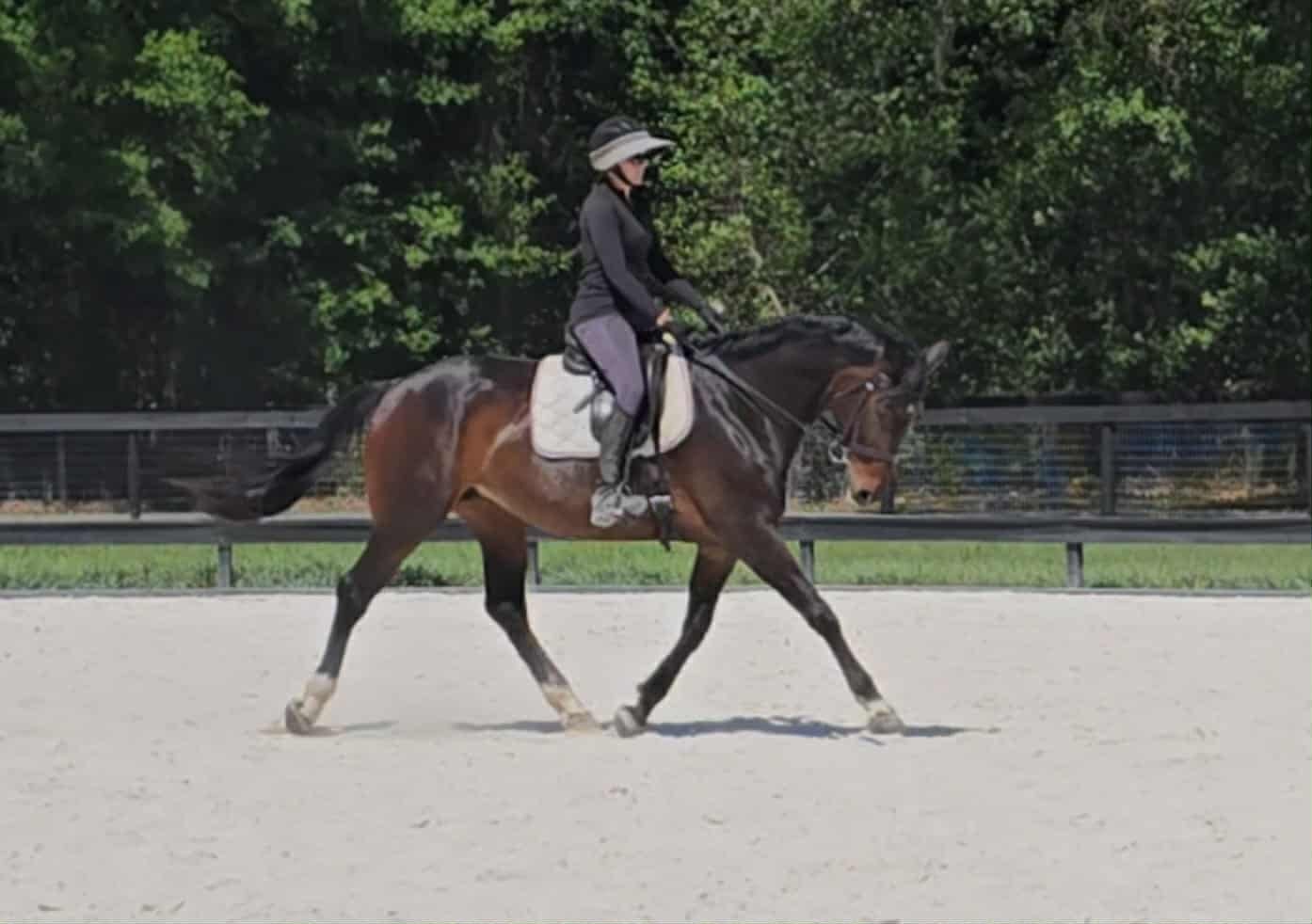 Kylee - Image 10