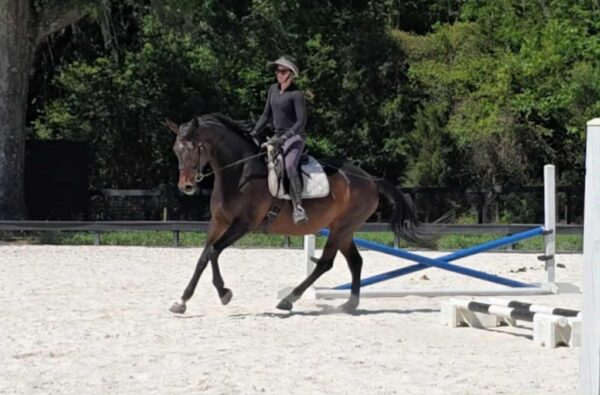 Kylee - Image 11