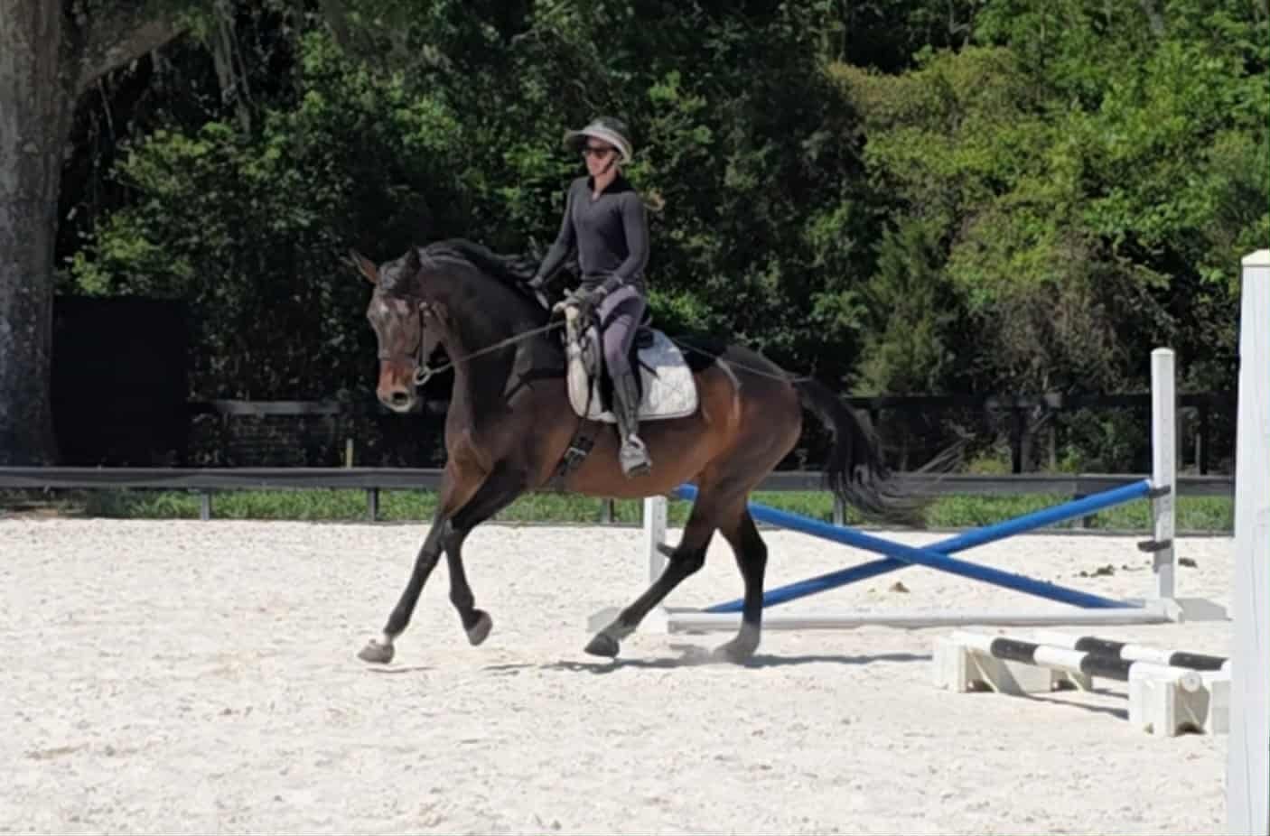 Kylee - Image 11