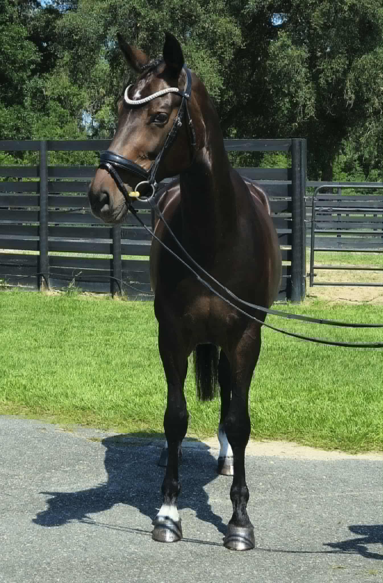 Kylee - Image 15