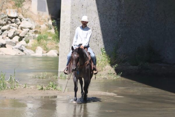 Aqua Man - Image 16