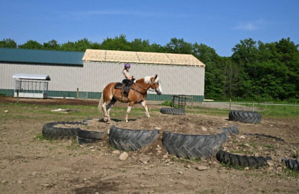 Ranger - Image 7