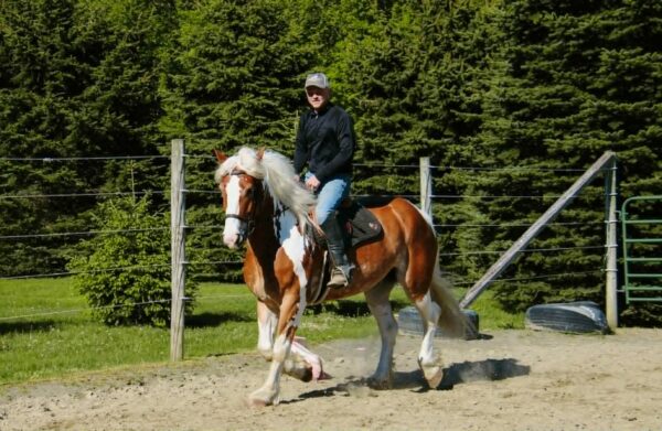 Ranger - Image 15