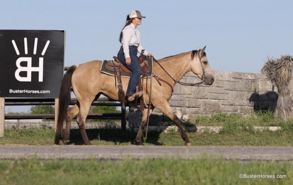 CR Toadally Sugar- Verity - Image 15