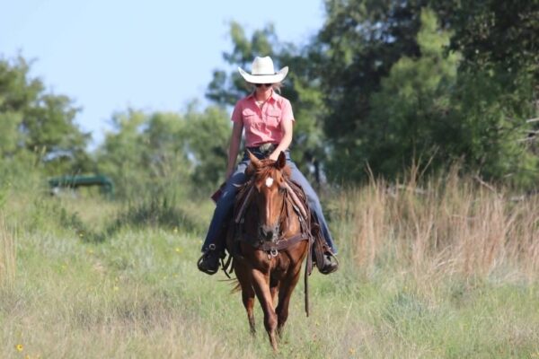 Cindy - Image 10