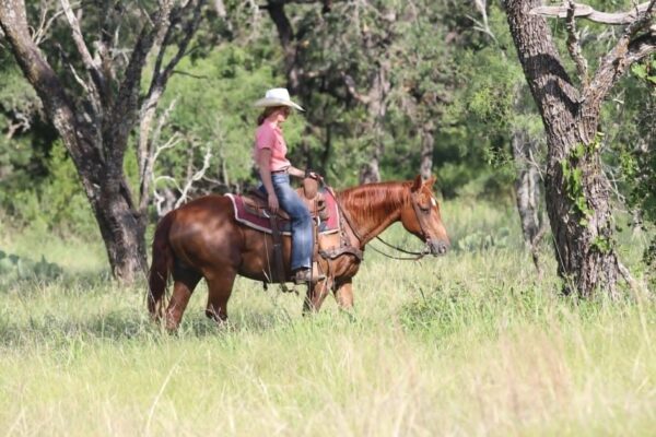 Cindy - Image 11