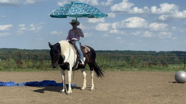 Annie - Image 11