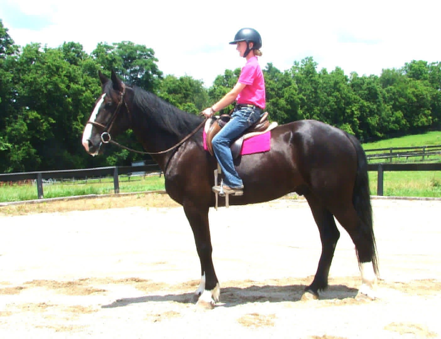 OWNER HORSE ★DEEP SKY s-l400.jpg