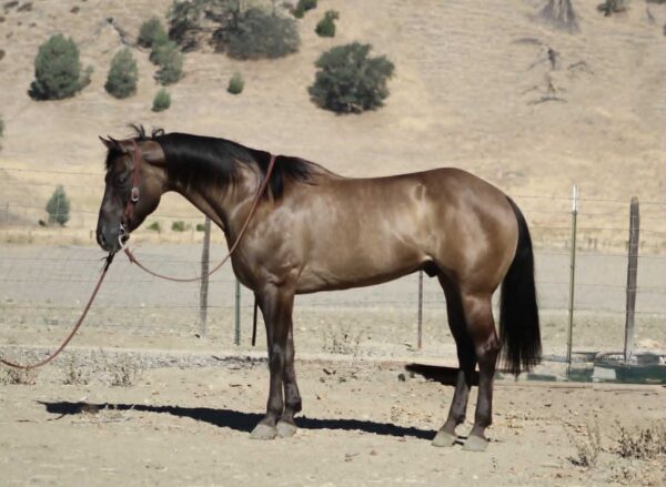5 Star - Image 15