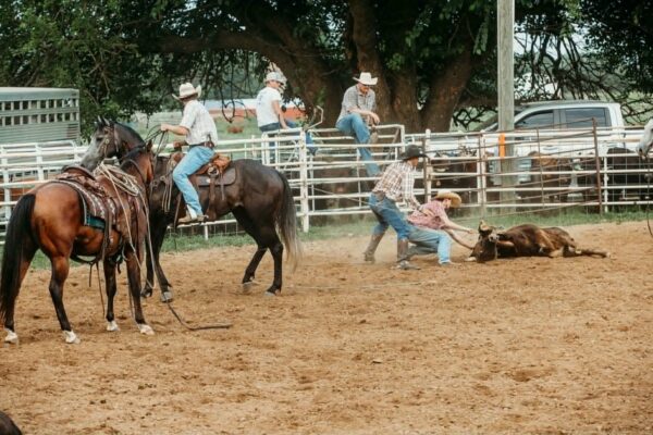 Eddie - Image 15