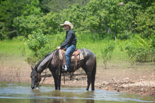 Va Mojo Blue Tally - Image 19
